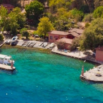 Domuz Adası Koyu (Prens Adası)