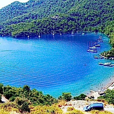 Sarsala Koyu